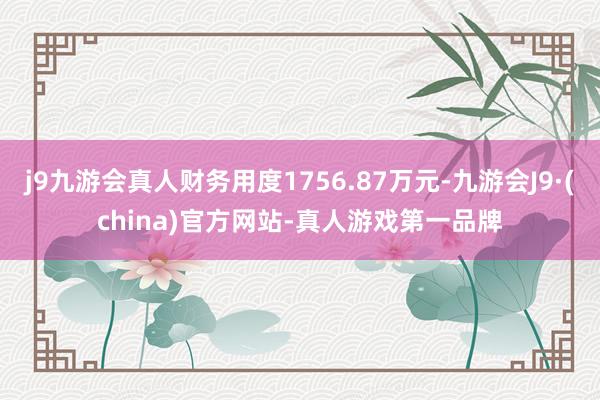 j9九游会真人财务用度1756.87万元-九游会J9·(china)官方网站-真人游戏第一品牌